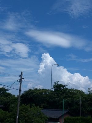 PYql8sezSgqEYou's profile picture. 