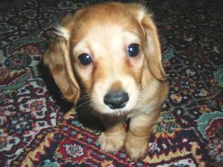 Ryoukent's profile picture. 170810 HN変更