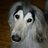 Kyzena's profile image