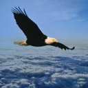 Glenn Rush - @glennrush316 - Twitter