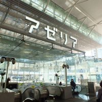 川崎みらい税理士法人・川崎みらい行政書士法人 (@skytreetax) 's Twitter Profile