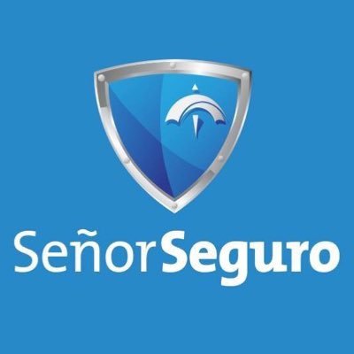 Señor Seguro otorga asesoría gratuita en siniestros y una plataforma de venta didáctica en seguros de todo tipo.