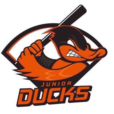 Long Island Jr Ducks