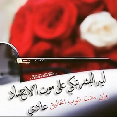 المملكة العربية السعودية