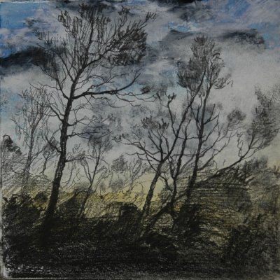 temadecafe's profile picture. 