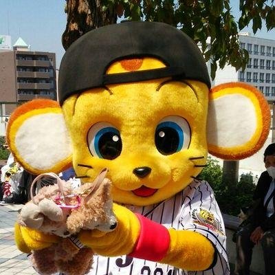 阪神タイガースが大好きな薬剤師です。ジムではステップ！西国三十三所巡礼、満願。 興味：月 漢方 ステップ エアロ 温泉 野球