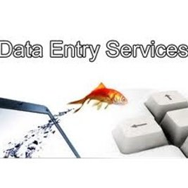 indiadataentry2's profile picture. 