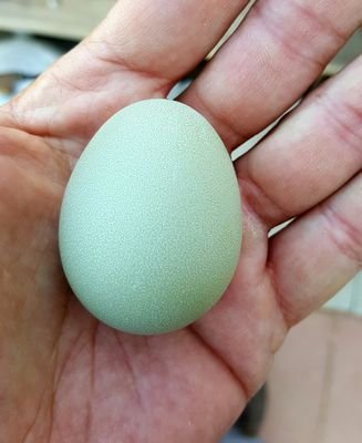 KasenK's profile picture. To old to change? Never!