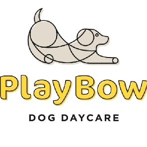 At PlayBow, we help your dog develop and practice its basic obedience  training, and the social skills needed for safe interactions with other  dogs.#Followback