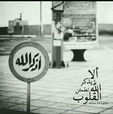 Wleed From Saudi Arabia
