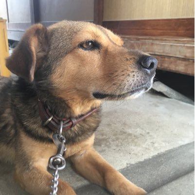 airlister's profile picture. 