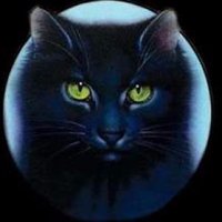 Hollyleaf (@_holly_leaf_) 's Twitter Profile