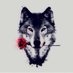 Hom (@evilvvv) Twitter profile photo Hom (@evilvvv) Twitter profile photo