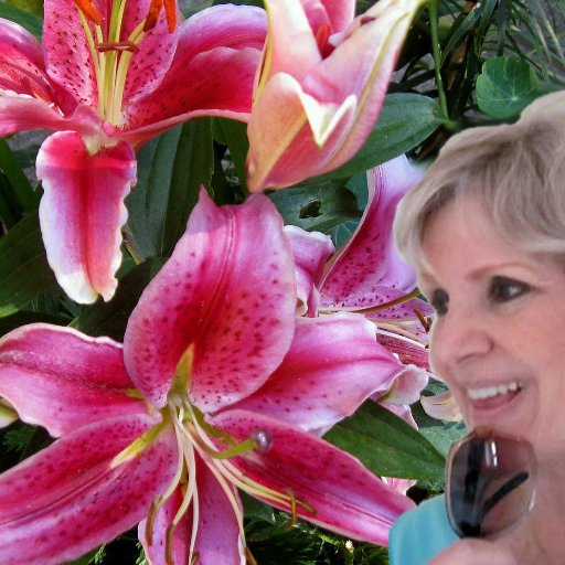 3peachroses's profile picture. 