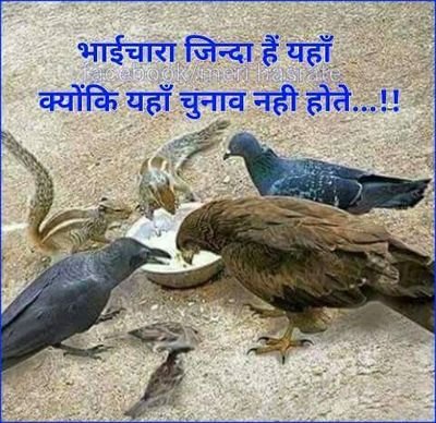 Nareshc02674994's profile picture. Nareshchandra