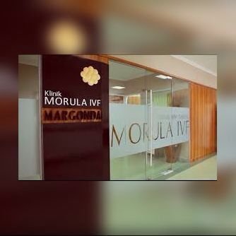 Image result for morula ivf margonda depok