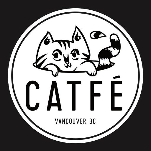 Vancouver's first cat cafe, a sunny downtown cafe in Tinseltown mall filled with adoptable cats.🐈 Rescuing cats since 2015 😻