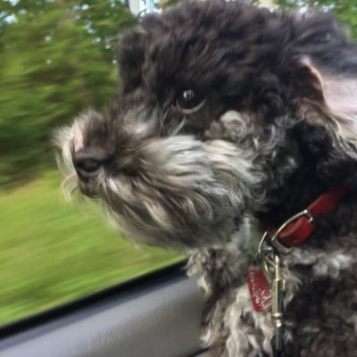 JrJrgar's profile picture. 
