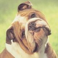 Oleg (@olegprof) 's Twitter Profile