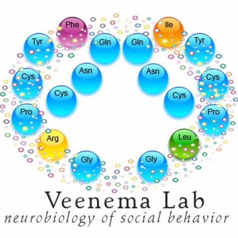 Social behavior, neuropeptides, motivation, #sabv, development.