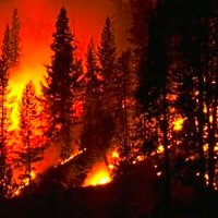 Catalina-Jemez CZO (@cjczo) 's Twitter Profile