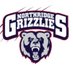 Northridge Athletics (@NHSGrizzly) Twitter profile photo