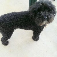 Ms. Vecchio (@ms_vecchio1027) 's Twitter Profile