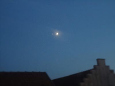 befreitsie1's profile picture. 