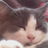 emmab3101's profile image