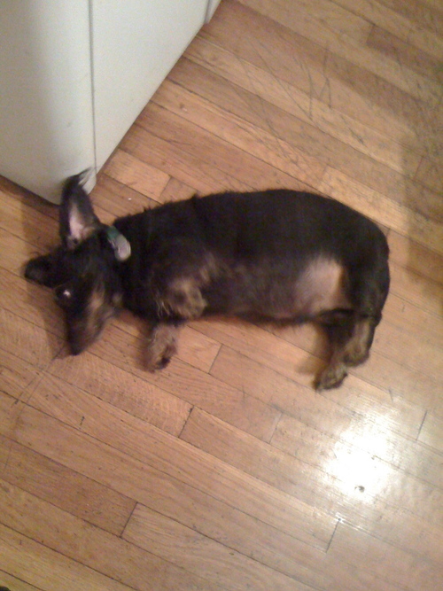 urinnyc's profile picture. chillin