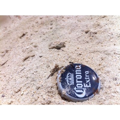 juancaarrubla's profile picture. 