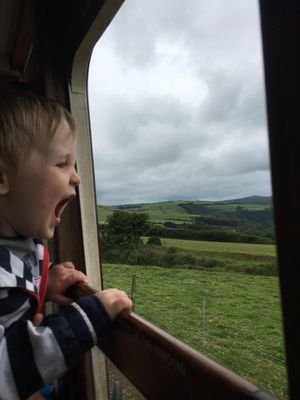 ShepsJ's profile picture. Not as clever as I think I am.