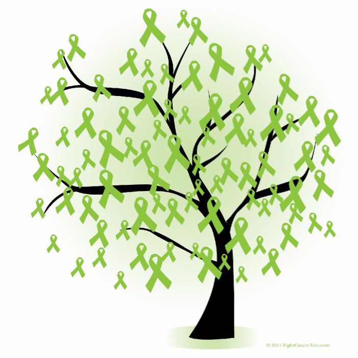 I'm a homeschooling mom who loves the LORD and has wildly entertaining twin boys. We all happen to have Lyme in our house.