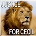 Justice for Cecil (@cecilsjustice) Twitter profile photo Justice for Cecil (@cecilsjustice) Twitter profile photo