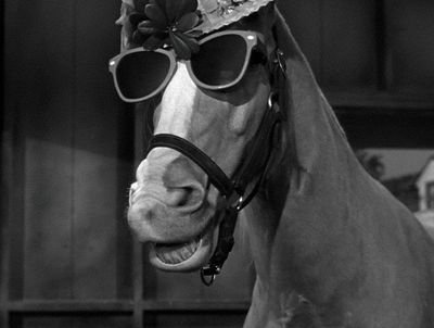 HorsephBrandon Profile Picture