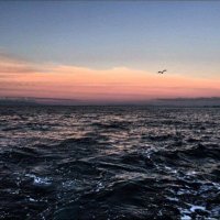 Murray Kirkness (@murraykirkness) 's Twitter Profile