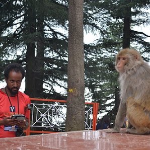 Anthropologist with a particular passion for non-human primates. 

Lecturer in Conservation Biology @TrentUni