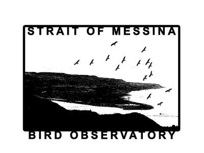 Network of ornithologists coordinating the Strait of Messina Bird Observatory project and promoting raptor research and conservation