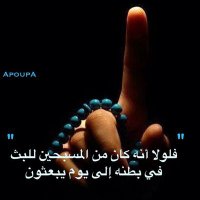 Mohammed Ali (@abusaleh545) 's Twitter Profile