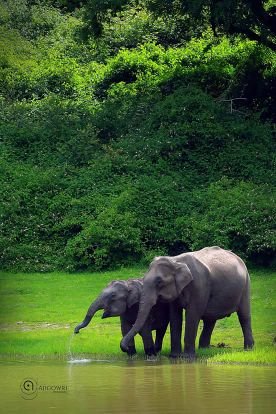 aadhwaniktourke's profile picture. Ever best tour Plan for travellers