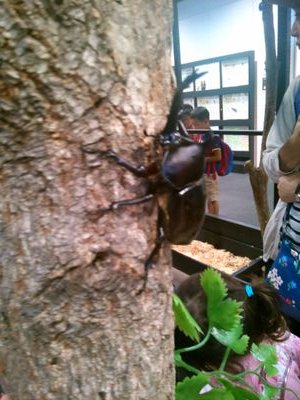 mayunori0317's profile picture. 