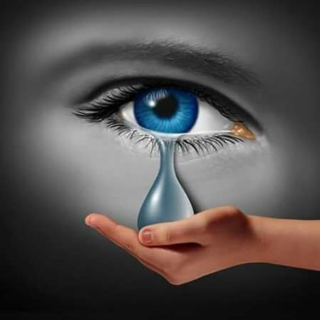 NilimaEmrose's profile picture. 