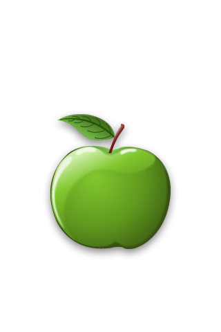 amateur iPhone app developer, with his 1st app accepted in the store