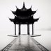 金盘堆果 (@chgoldenplate) Twitter profile photo