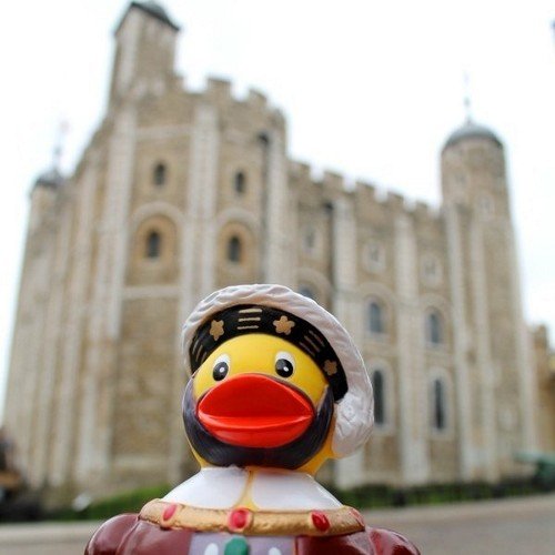 Quackers about #Museums and rubber #ducks then join the #photography fun. Using the museum collectible duck to have adventures around museums.