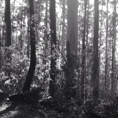 amita_talwar's profile picture. #Professional photographer #Artist#Avid traveller