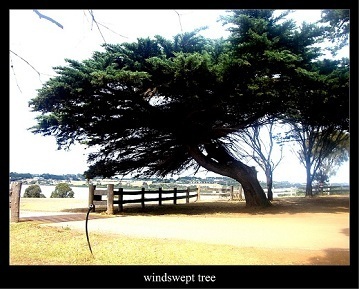 GumtreeAussie's profile picture. Website for jobs, earn online ,back packers, travel deals,Help you in Australia