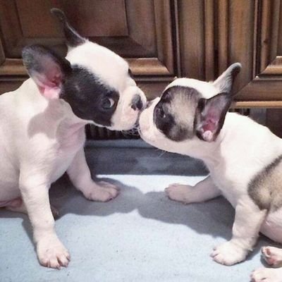 Son las cosas un te amo un te kiero un te extraño es x tu amor k aqui kiero star...
