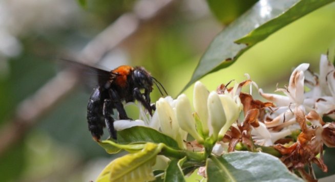 mlcg15's profile picture. 