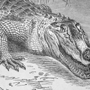 Mark Paul - @blog_yes - Twitter